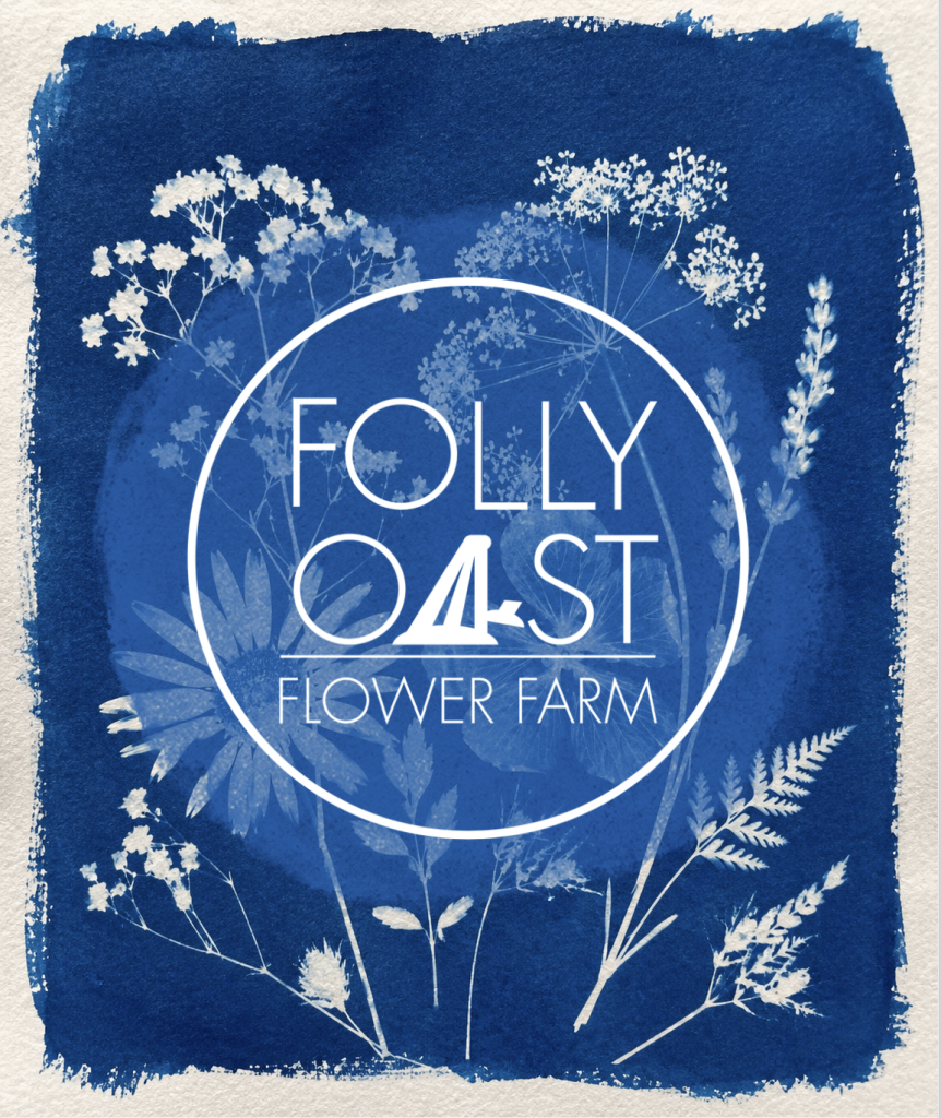 Cyanotype printing at Folly Oast Flower farm