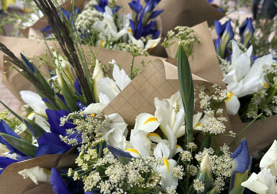 Screenshot 2025-06-23 at 16.34.45